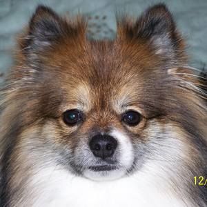 Meet your Posher, Deborah